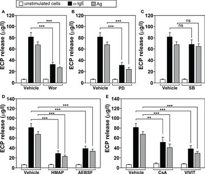 Regulation and directed inhibition of ECP production by human neutrophils